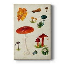 Mushroom Species VIII Premium Gallery Wrapped Canvas - Ready to Hang
