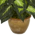 thumbnail image 4 of Nearly Natural 18" Dieffenbachia Artificial Plant in Ceramic Planter, Green, 4 of 6