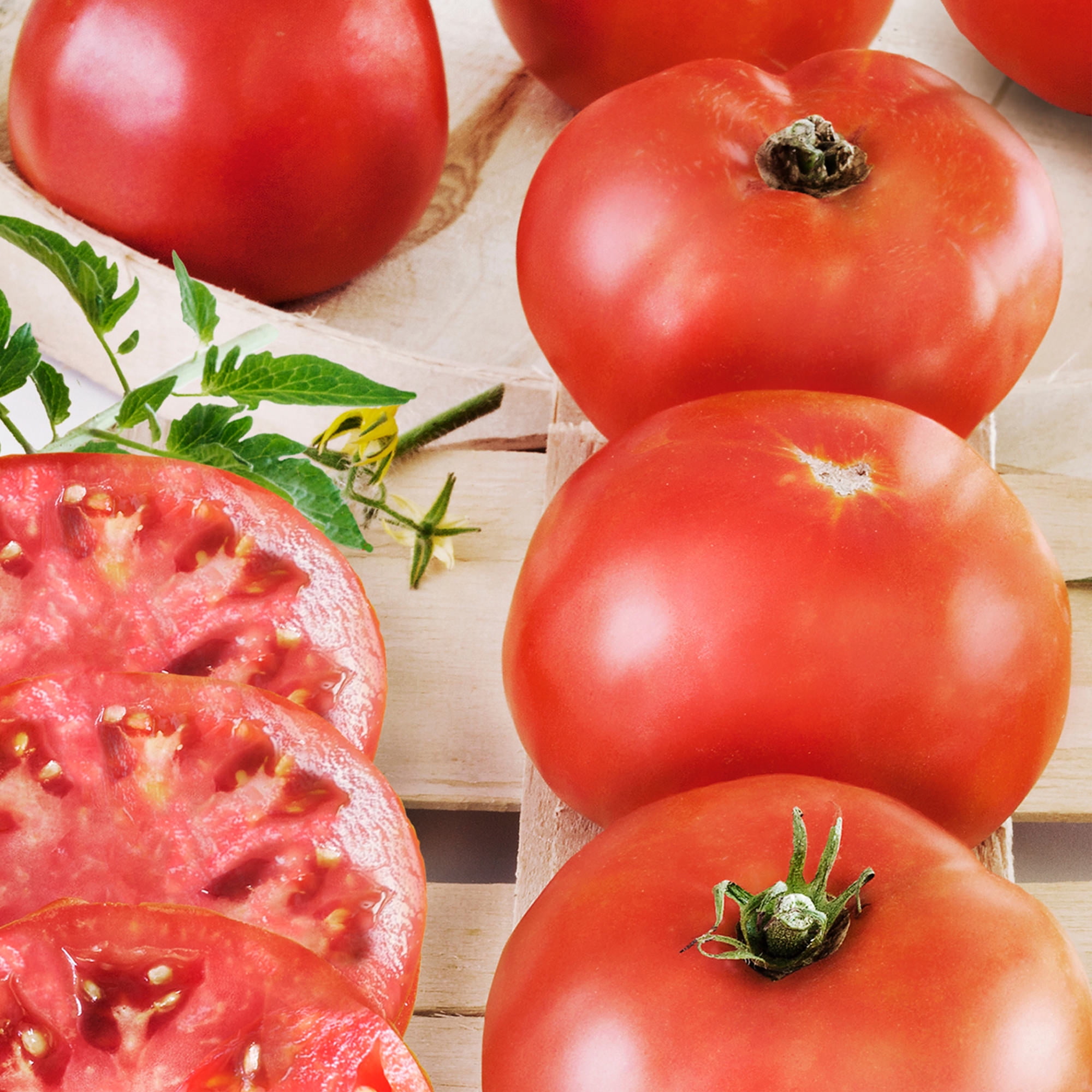 Bonnie Plants Big Boy Tomato 19.3 oz.