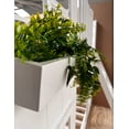 thumbnail image 4 of Litera Infantil de Madera Wood White, 4 of 4