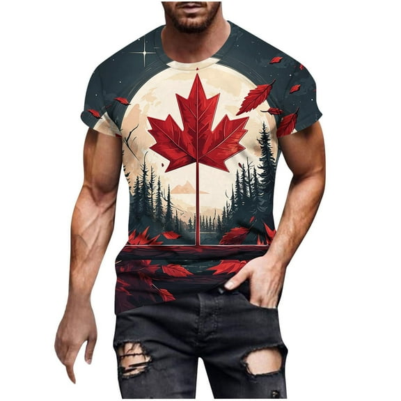 TMOYZQ Mens Big & Tall Independence Day American Flag T-Shirts 4th of July Patriotic Muscle Shirts Summer Casual Short Sleeve Crew Neck Tops Graphic Tees