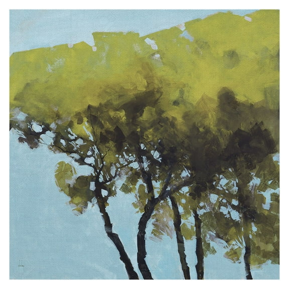 Masterpiece Art Gallery Ocean Sunrise by Patrick Zephyr Canvas Art Print 30" x 30"