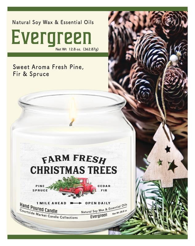Courtside Market Fresh Farm Trees 12.8 oz Soy Wax Candle in Glass Jar with Silver Lid