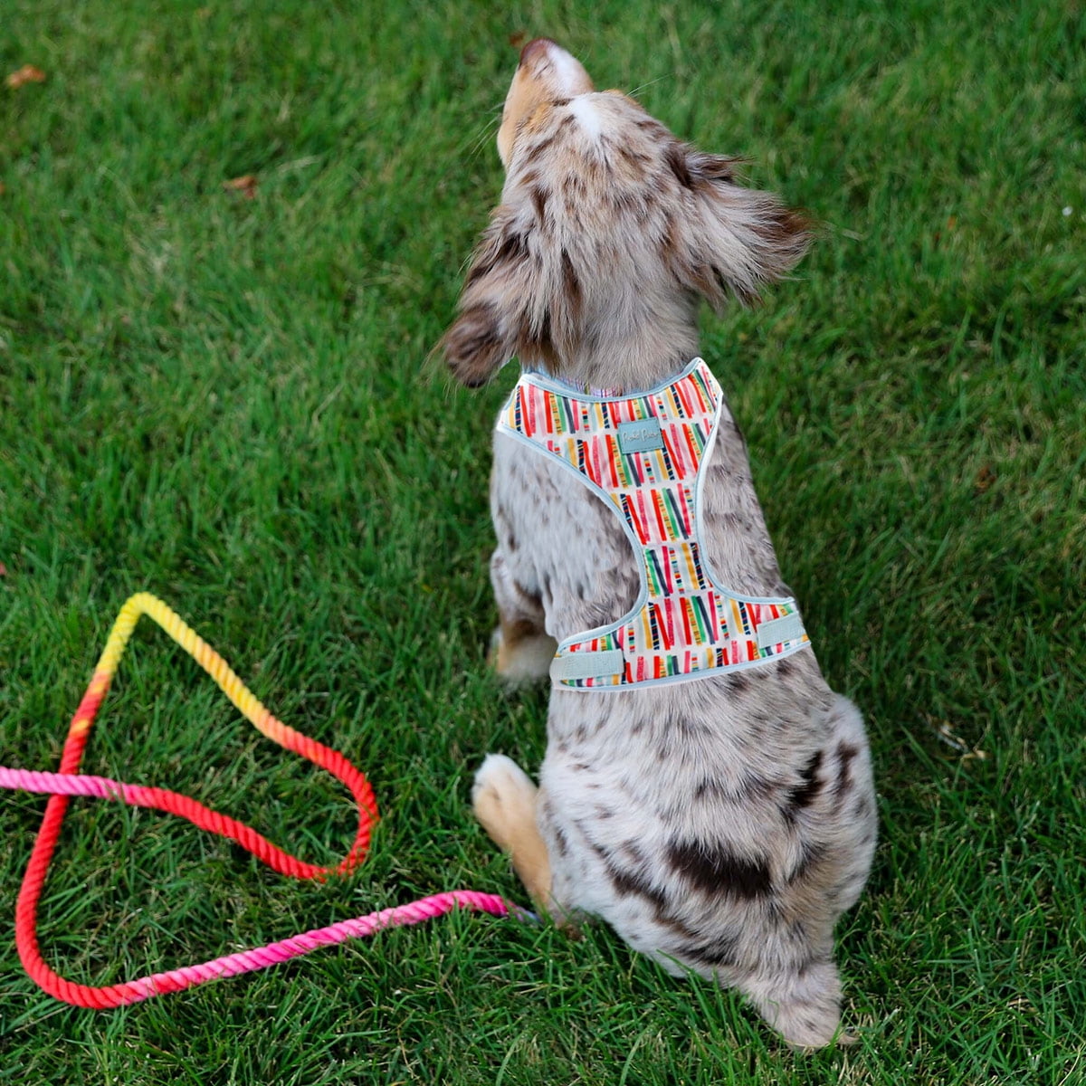 Packed Party Birthday Candles Dog Harness, Large
