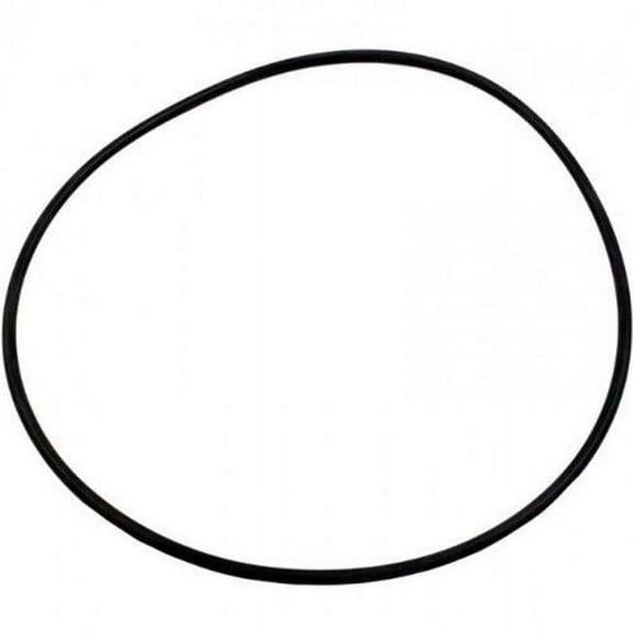 Pentair Aquatic Systems 14971-SM20E7 Cover O-Ring Replacement