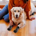 thumbnail image 5 of Anti-slip Dog Socks For Dogs 2 Pairs Soft Adjustable Paw Protection Dog Grip Socks With Strap Traction Control high quality, 5 of 5