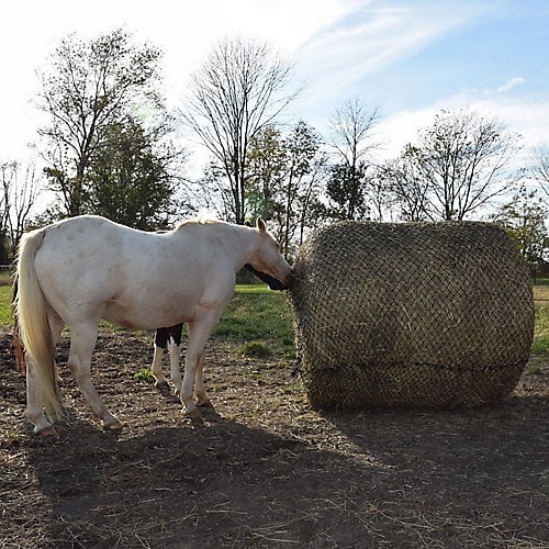 Horse Hay Round Bale Hay Net Save $$ Eliminates Waste 6' x 6' Bale #84 Nylon 2" 