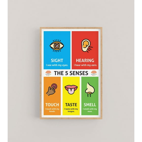 The Five Senses Wall Art, Educational For The Classroom And Homeschool, Montessori Poster For Elementary School Wall Art, Modern Wall Decor, 8x12 UNFRAMED