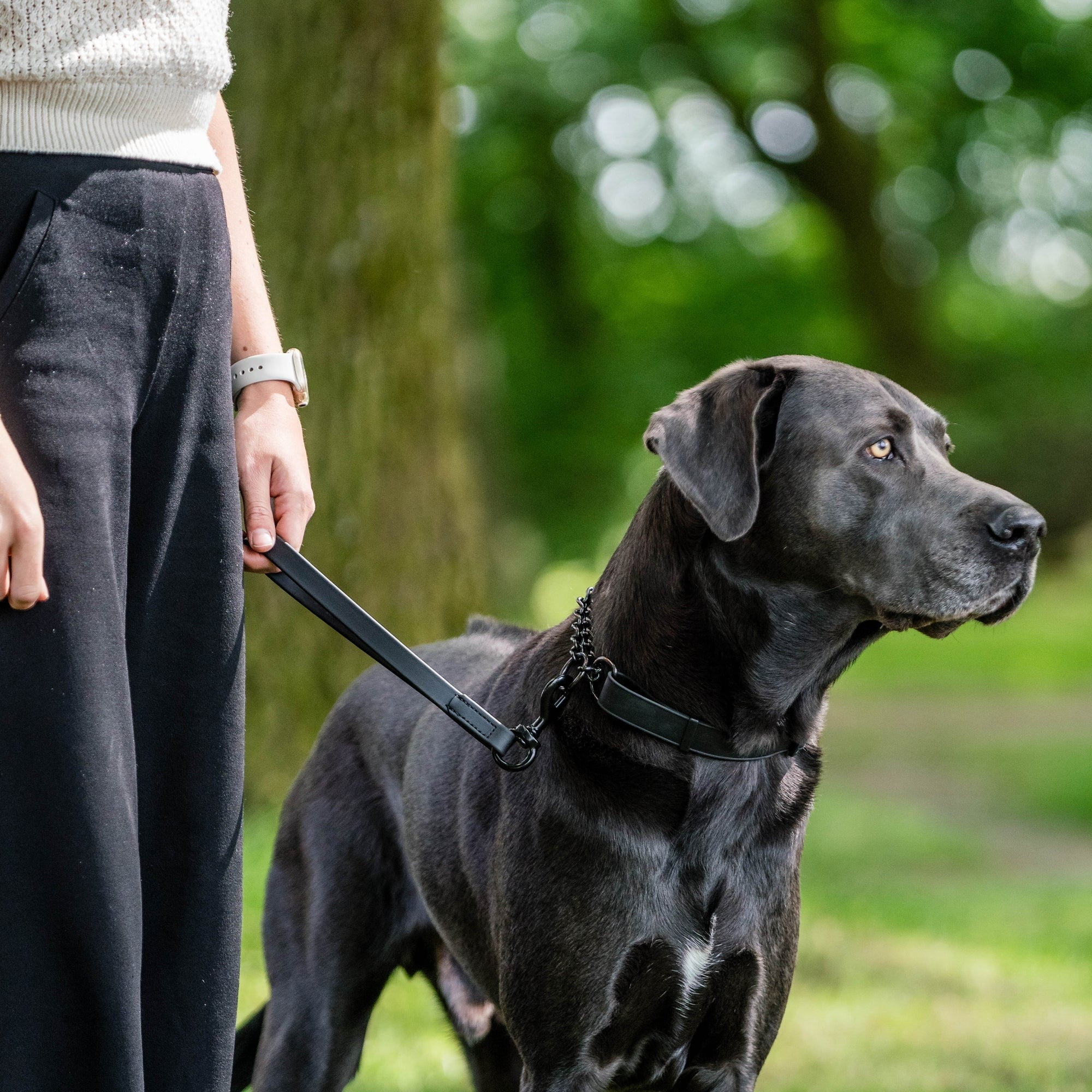 Dogline Biothane Waterproof Leash 2 ft