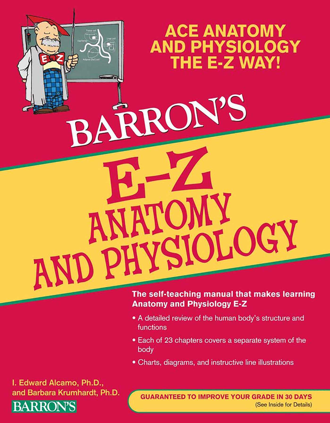 Barron's Easy Way: E-Z Anatomy and Physiology (Paperback) - image 2 of 2