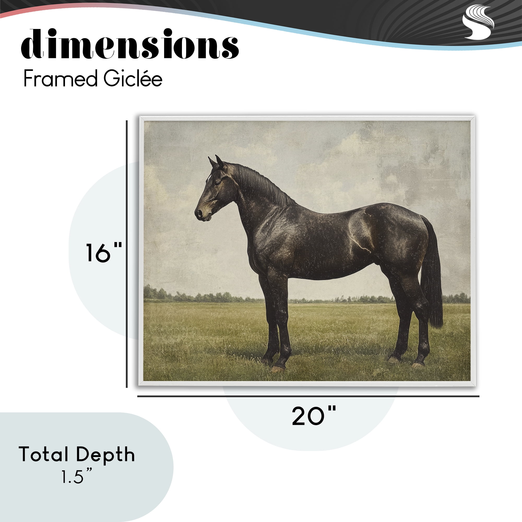 Stupell Industries Espresso Horse in Pastoral Field White Framed Giclee Art, design by Petal Prints Design