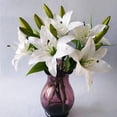 thumbnail image 7 of 8 Pcs Artificial Tiger Lily Real Touch Lily Easter Lily Fake Spring Flowers for Wedding Home Party Easter Decoration Plastic Lily Faux Flowers (White, 8), 7 of 7