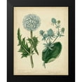 thumbnail image 2 of Edwards, Sydenham 20x24 Black Modern Framed Museum Art Print Titled - Cottage Florals III, 2 of 5