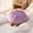 Purple, variant on Gaqring Cute Colorful Bun-Shaped Throw Pillow, Not Easily Deformed Soft Plush Cushion, Nap Pillow Sofa Cushion for Bedroom Living Room Office, Orange