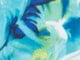 Dark Sapphire Painterly Floral