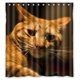 thumbnail image 1 of ABPHQTO Cortina de ducha con diseño de gato Cortina de ducha impermeable 160x180 cm, 1 of 2