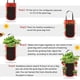 thumbnail image 4 of Bolsa para plantar fresas JM negra 3 galones con 12 agujeros, 4 of 5