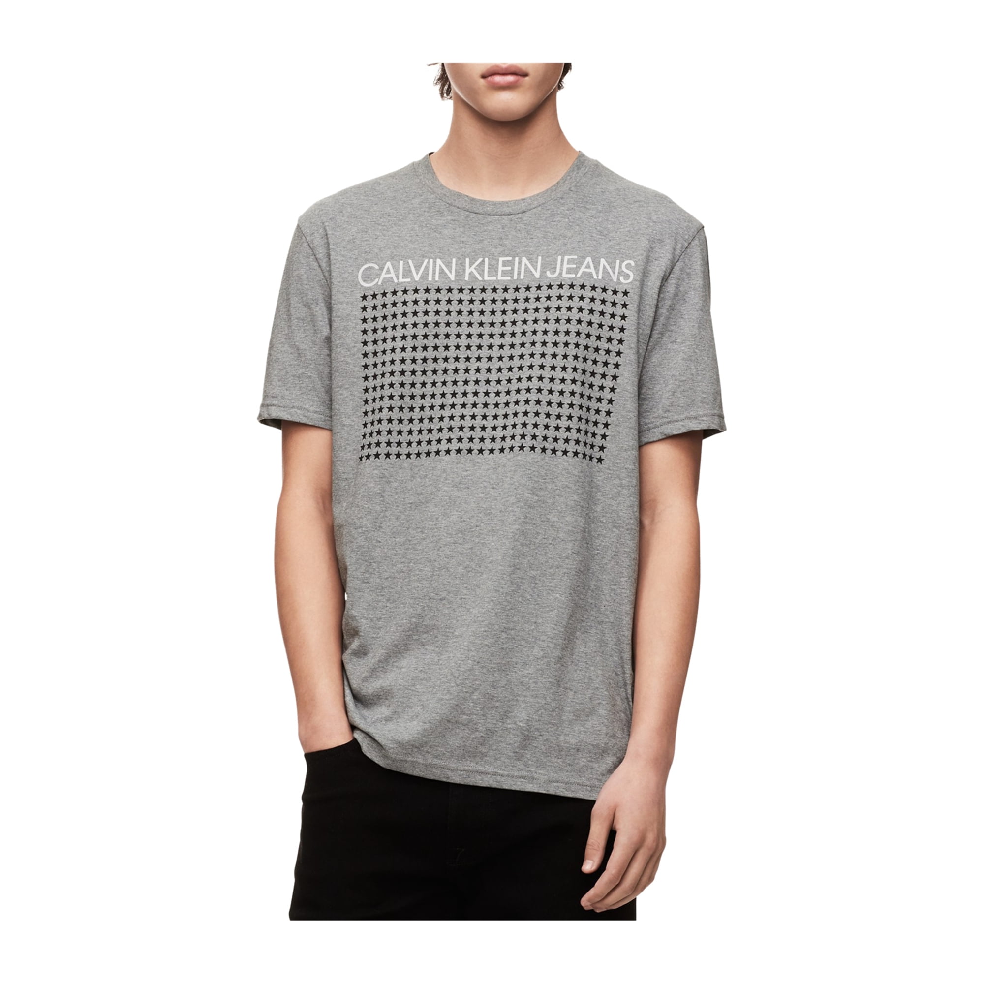 Calvin Klein Mens Logo With Stars Graphic T-Shirt gray 2XL | Walmart Canada