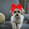 thumbnail image 1 of IDEANATEGRATE Para Perros En Color Para Decoraciones De Fiesta Y Accesorios, 1 of 6