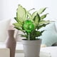 thumbnail image 3 of Regadora automática | Sistema de autorriego para plantas de interior y exterior | Temporizador programable | Diseño portátil y compacto | Fácil instalación | Larga duración | Riego eficiente para el, 3 of 3