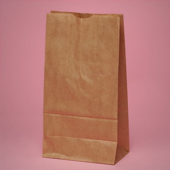 Xtra Small 4-1/4 x 2-3/8 x 8-3/16 inches Brown Kraft Paper Lunch Grocery Bags, 100 pack