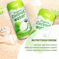 thumbnail image 4 of Vinut Organic Coconut Water Drink (16.57 fl oz, Pack of 6), Hydrate Naturally, Fresh, High Calcium, Nutrient Rich, Potassium, Strong Coconut Flavor and Aroma, 4 of 7