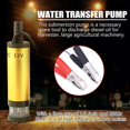thumbnail image 1 of Stainless Steel Submersible Pump for Water Diesel Oil Kerosene Refueling Tool (DC 12V Golden), 1 of 5