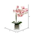 thumbnail image 3 of Vickerman 18" Artificial Pink Phalaenopsis In Metal Pot., 3 of 3