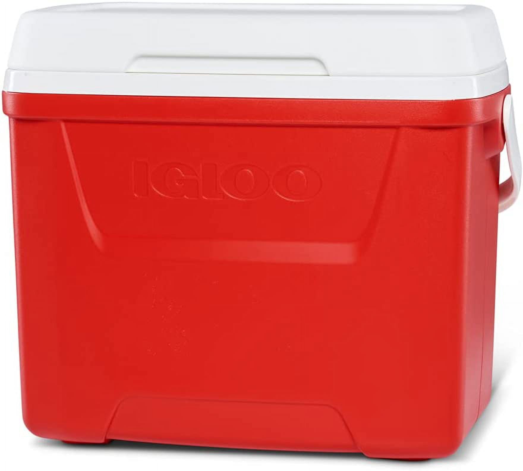 Igloo Performance 2.25 Lb. Mini Brick Cooler Ice Pack - Ambridge Home Center