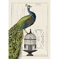 thumbnail image 2 of Wild Apple Portfolio 18x24 Gold Ornate Wood Framed with Double Matting Museum Art Print Titled - Peacock Birdcage I, 2 of 4