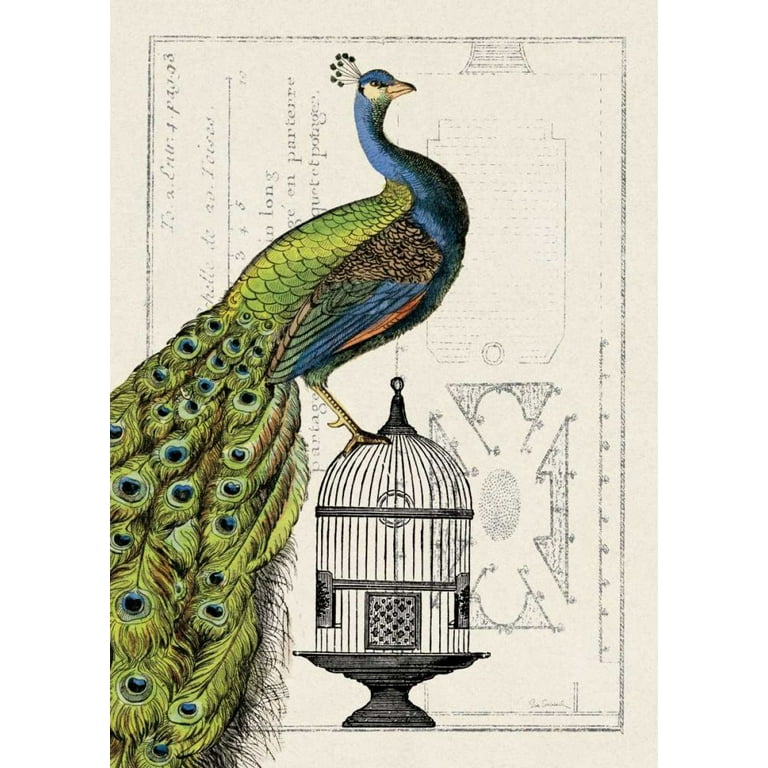 Wild Apple Portfolio 18x24 Black Ornate Wood Framed with Double Matting  Museum Art Print Titled - Peacock Birdcage I 