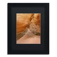 thumbnail image 2 of Trademark Fine Art 'Tumbleweed' Canvas Art by Michael Blanchette Photography, Black Matte, Black Frame, 2 of 4