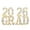 White-720416VV, variant on Illuminated Graduation Sign 2026, LED Lightbox Letters With Batteries Included, Indoor Outdoor Party Decor, 8 Large Letters For Graduation Celebration