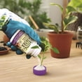 thumbnail image 2 of Bonide Bontone Powder Rooting Hormone 1.25 oz, 2 of 7