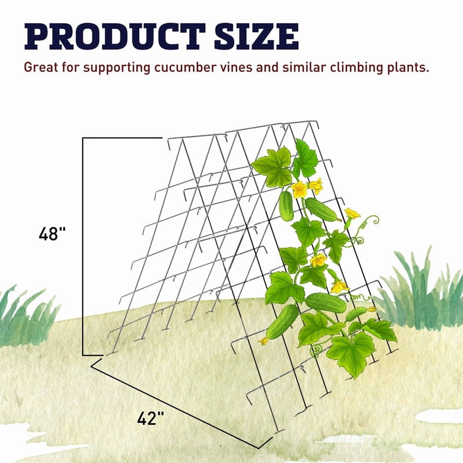 Harris Seeds Cucumber Support 42” x 48” Galvanized Steel A-Frame Trellis