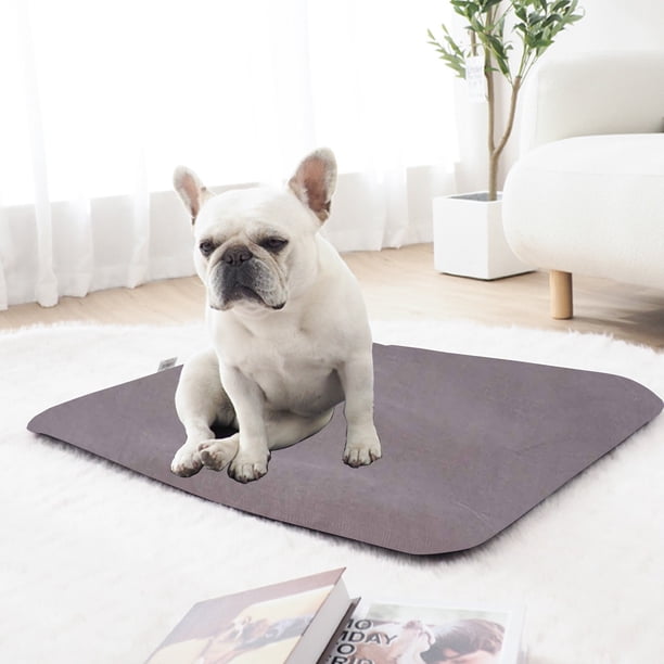Cama De Invierno Para Perros, Alfombra De Pana Gruesa, Funda Extraíble Y Lavable, Base Antideslizante, Para Perros Medianos Y Grandes,Vsgery