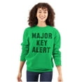thumbnail image 3 of Major Key Alert Rap Entrepreneur Unisex Plus Fleece Graphic Sweatshirt Brisco Brands 4X, 3 of 5