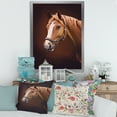 thumbnail image 3 of Designart 'Close Up Portrait Of Brown Horse With White Nose II' Farmhouse Framed Art Print, 3 of 4