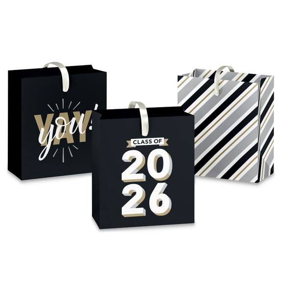 American Greetings 4.625 in. Small Graduation Gift Bag Combo, Celebratory Designs (3 Bags)