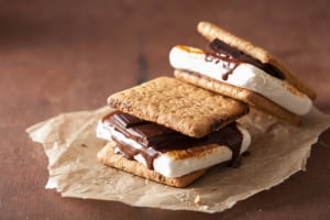 Graham Crackers | Individually Wrapped | 24 x 2 sets = 48 units | SMORES design | Ready for S'mores or Snacks