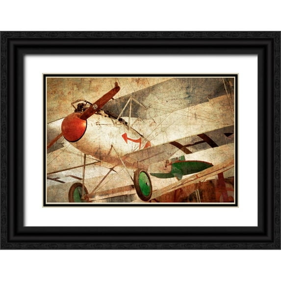 Weddle, Ryan Hartson 18x13 Black Ornate Wood Framed with Double Matting Museum Art Print Titled - Aero III