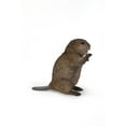 thumbnail image 3 of AMERICAN BEAVER CUB STANDING STATUE, 3 of 7