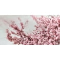 thumbnail image 3 of Telik, Tracey 14x9 Black Modern Framed Museum Art Print Titled - Blossoming Spring, 3 of 5
