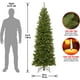 thumbnail image 2 of Árbol de Navidad National Tree Company Abeto del Norte del Valle Delgado Estilo Lápiz 6.5 pies NRV7-505-65, 2 of 2