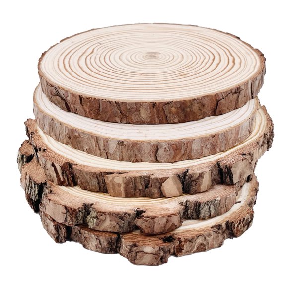 Wood Slices William Craft Pine, 5 piezas, 18-20 cm, kit de bricolaje