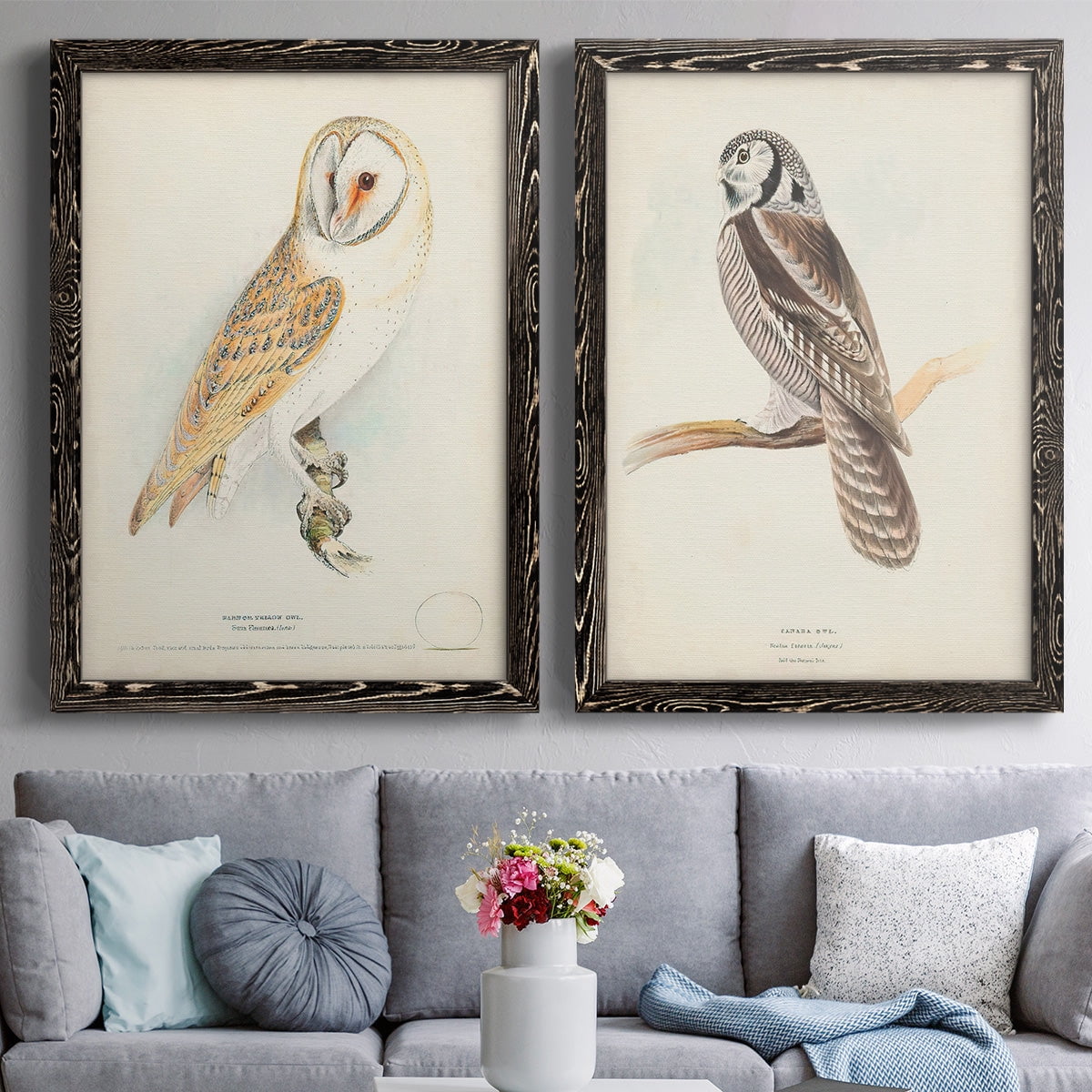 Barn Owl - Premium Framed Canvas 2 Piece Set - Ready to Hang