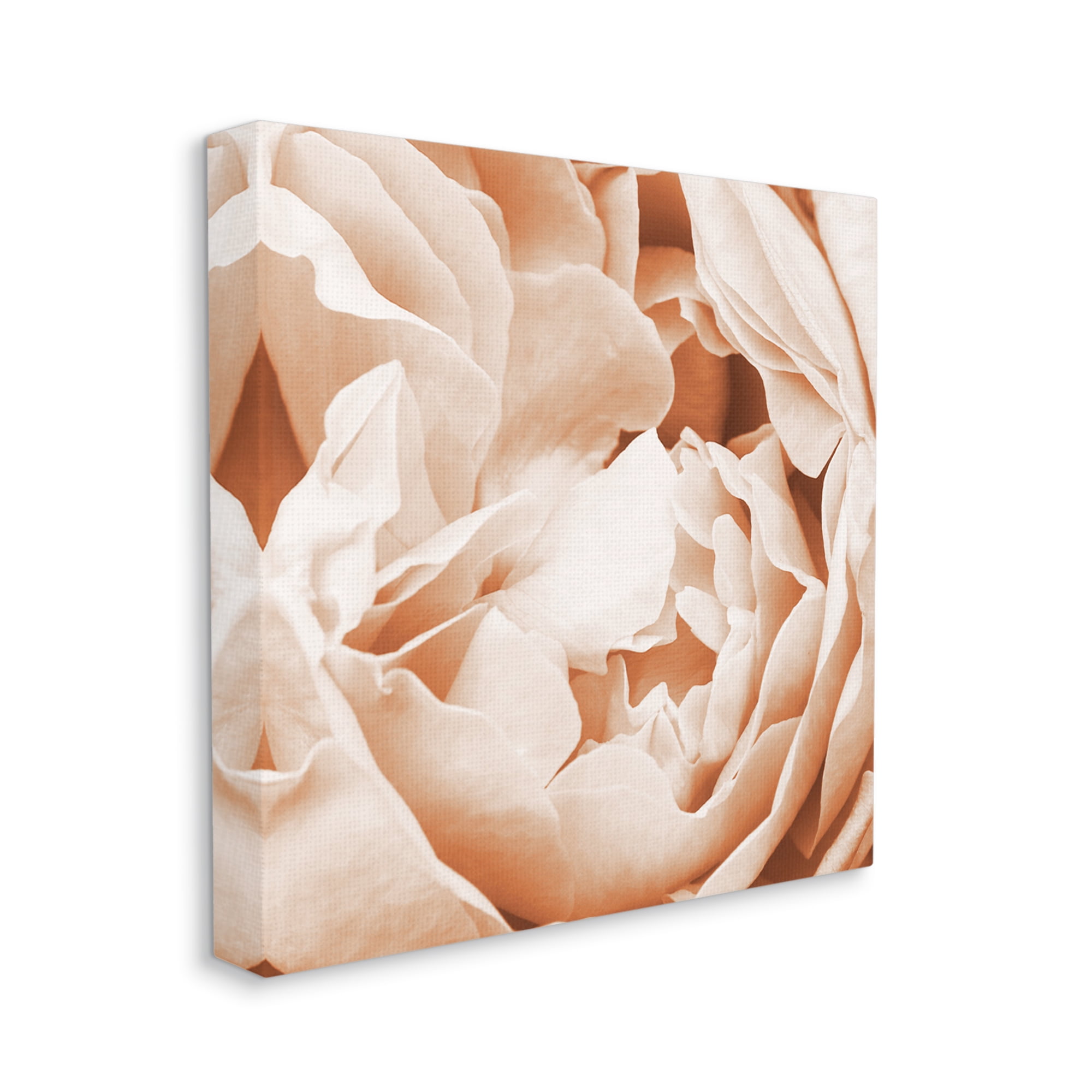 Stupell Industries Pastel Pink Peony Petals Botanical & Floral Photography Gallery Wrapped Canvas Print Wall Art, 30 x 30