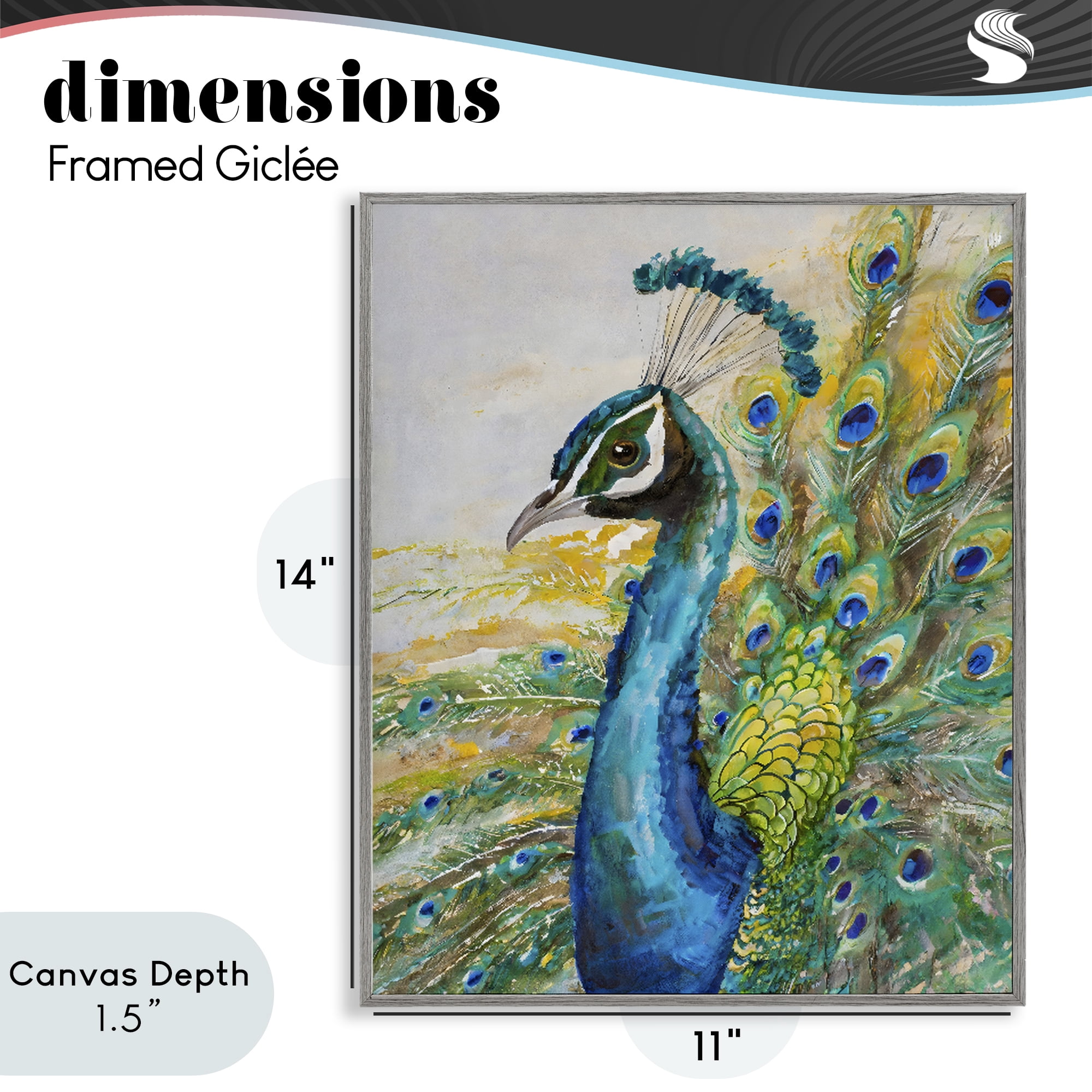 Stupell Industries Regal Blue Peacock Feathers Gray Framed Giclee Art, design by Creative Studio