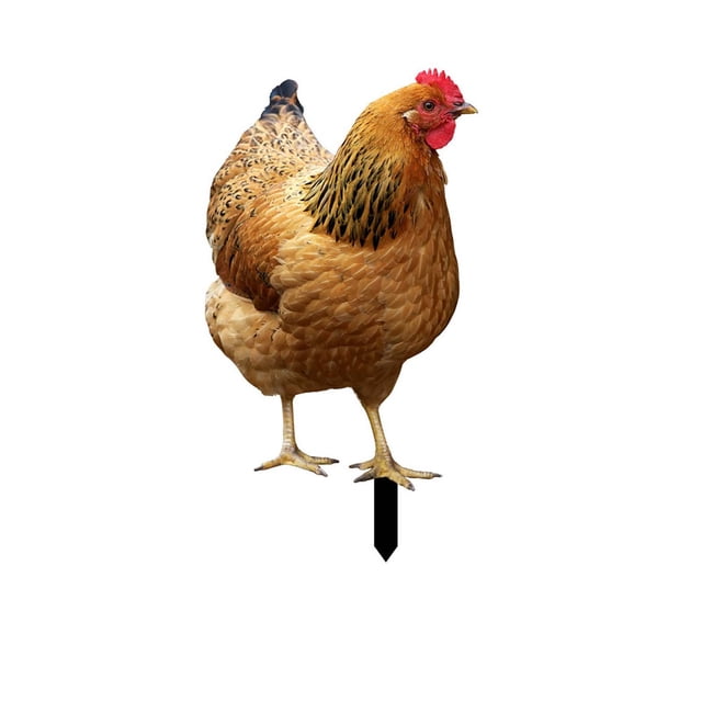 Poultry Decoration Yard Insert Rooster Acrylic Sticker Yard Art Decoration Yard Decoration Acrylic Double Sided Printed Party Cards Animal Garden Decoration