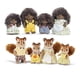 thumbnail image 1 of Familia de erizos de pepinillos Calico Critters y familia de ardillas de avellana Calico Critters 647409206031, 1 of 1